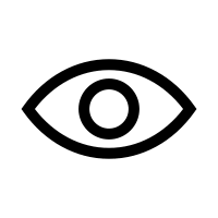 Toggle Password Visibility